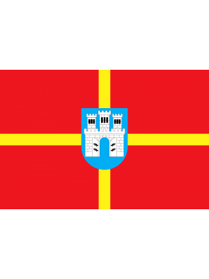 Флаг Житомирской области