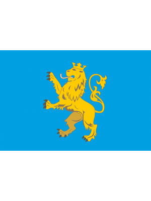 Флаг Львовской области